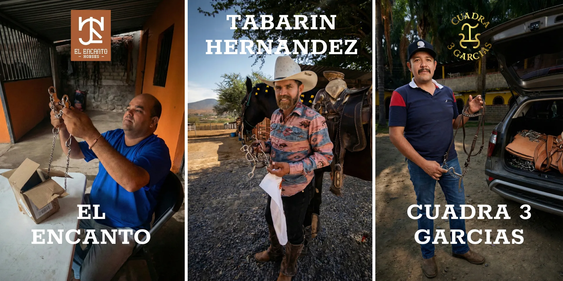 Tres clientes de Galope con sus piezas: El Encanto Horses, Tabarin Hernandez y Cuadra 3 Garcias