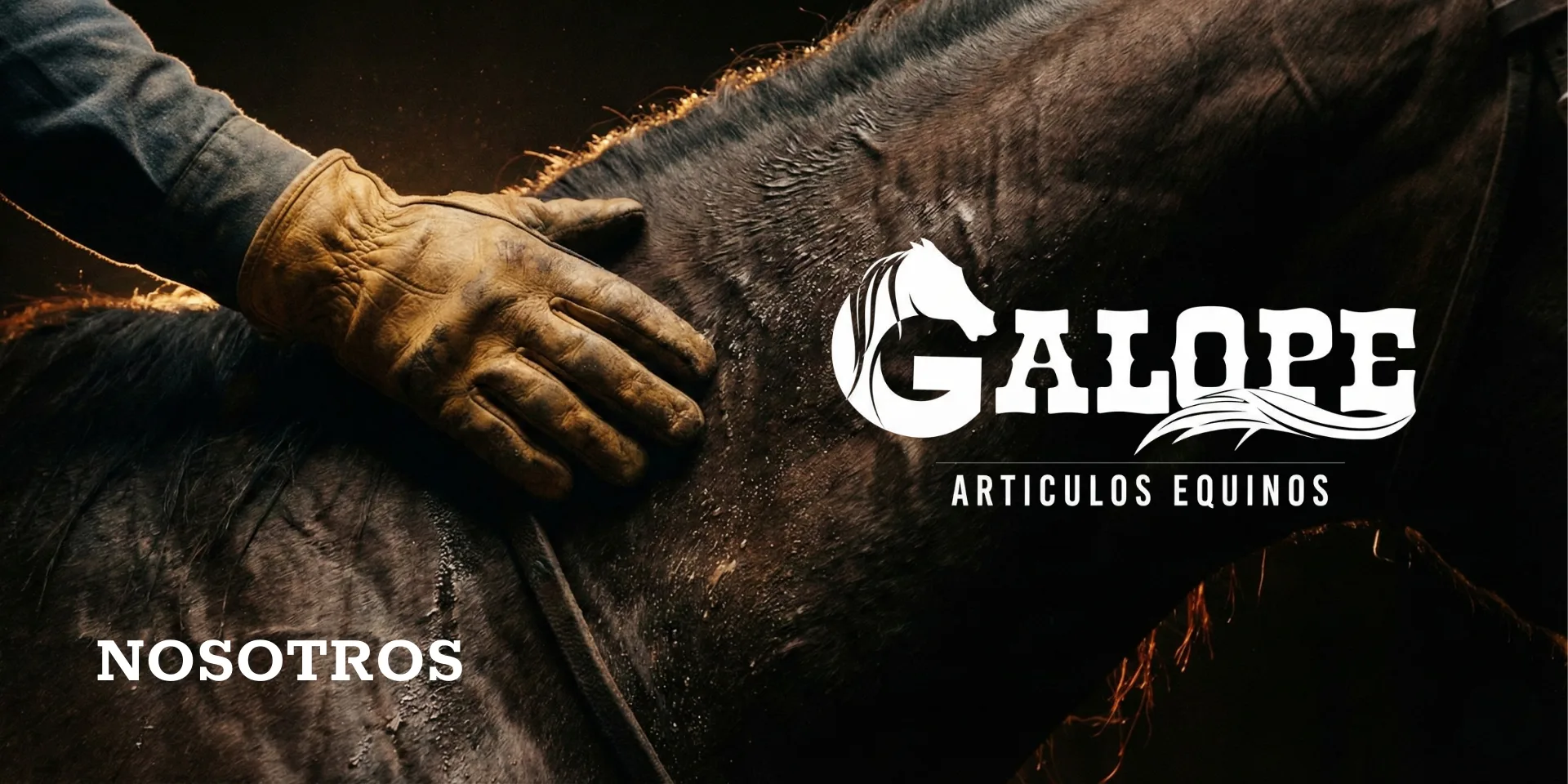 Nosotros. Una mano con guante de trabajo sobre el lomo de un caballo oscuro, junto al logotipo de Galope, articulos equinos